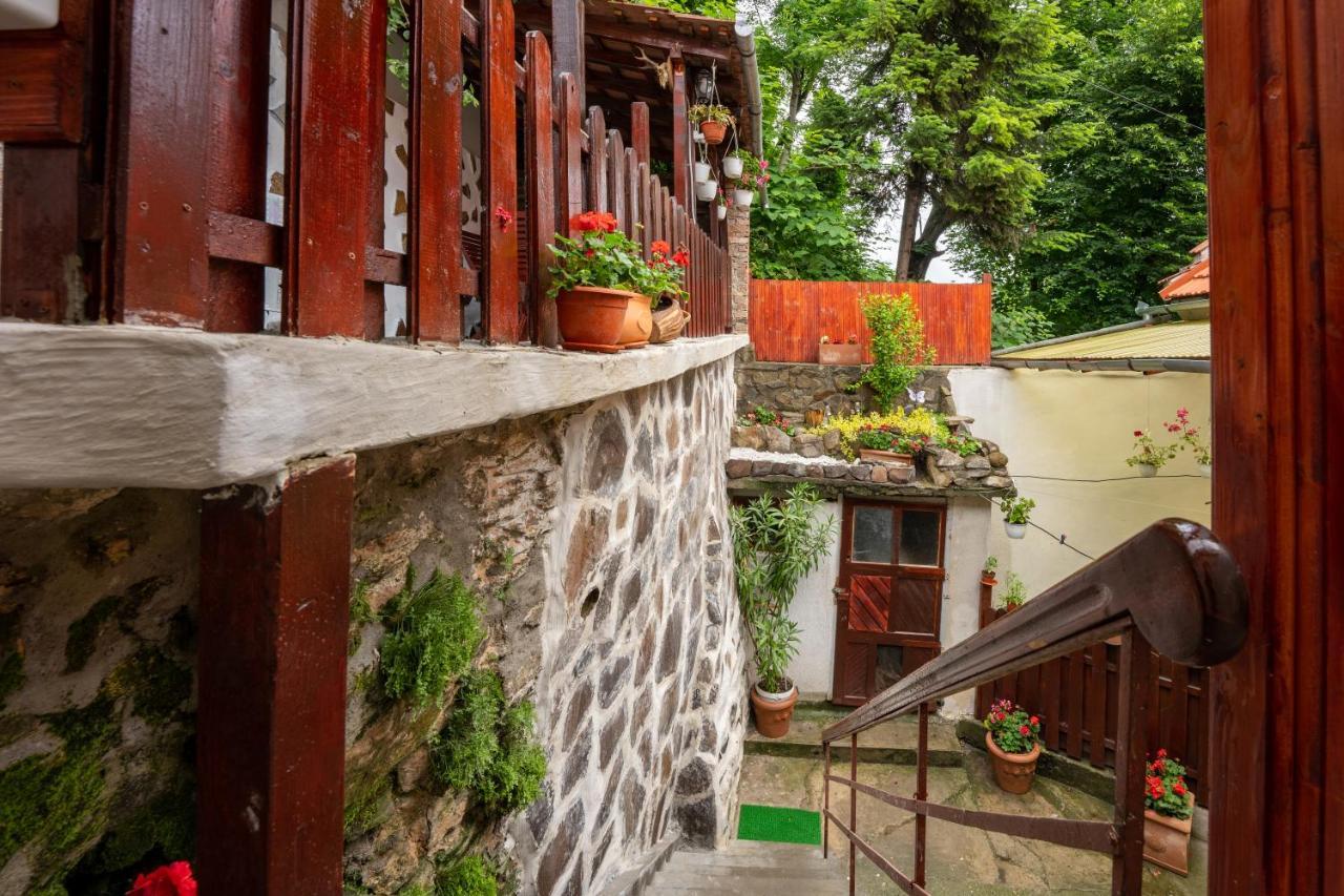 Gloria Apartments Sighisoara Bagian luar foto