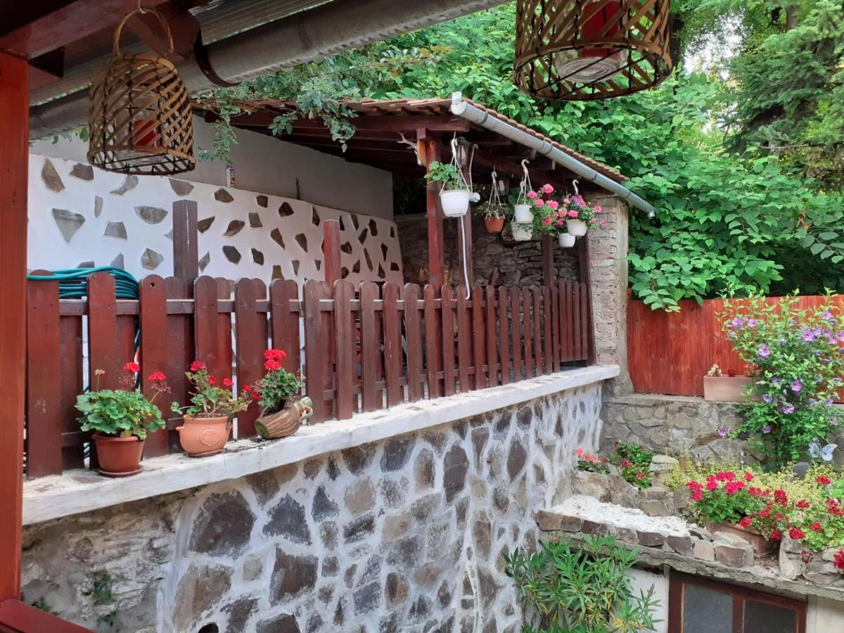 Gloria Apartments Sighisoara Bagian luar foto
