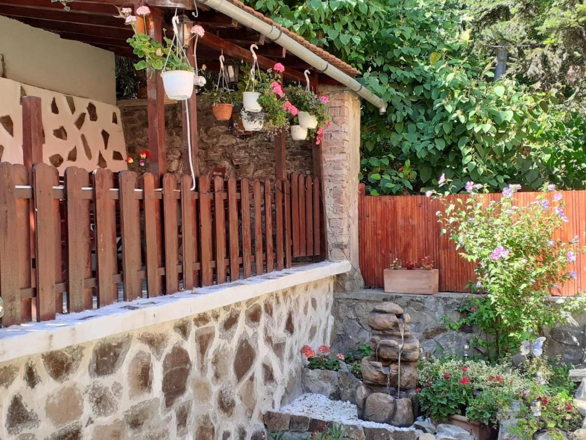 Gloria Apartments Sighisoara Bagian luar foto
