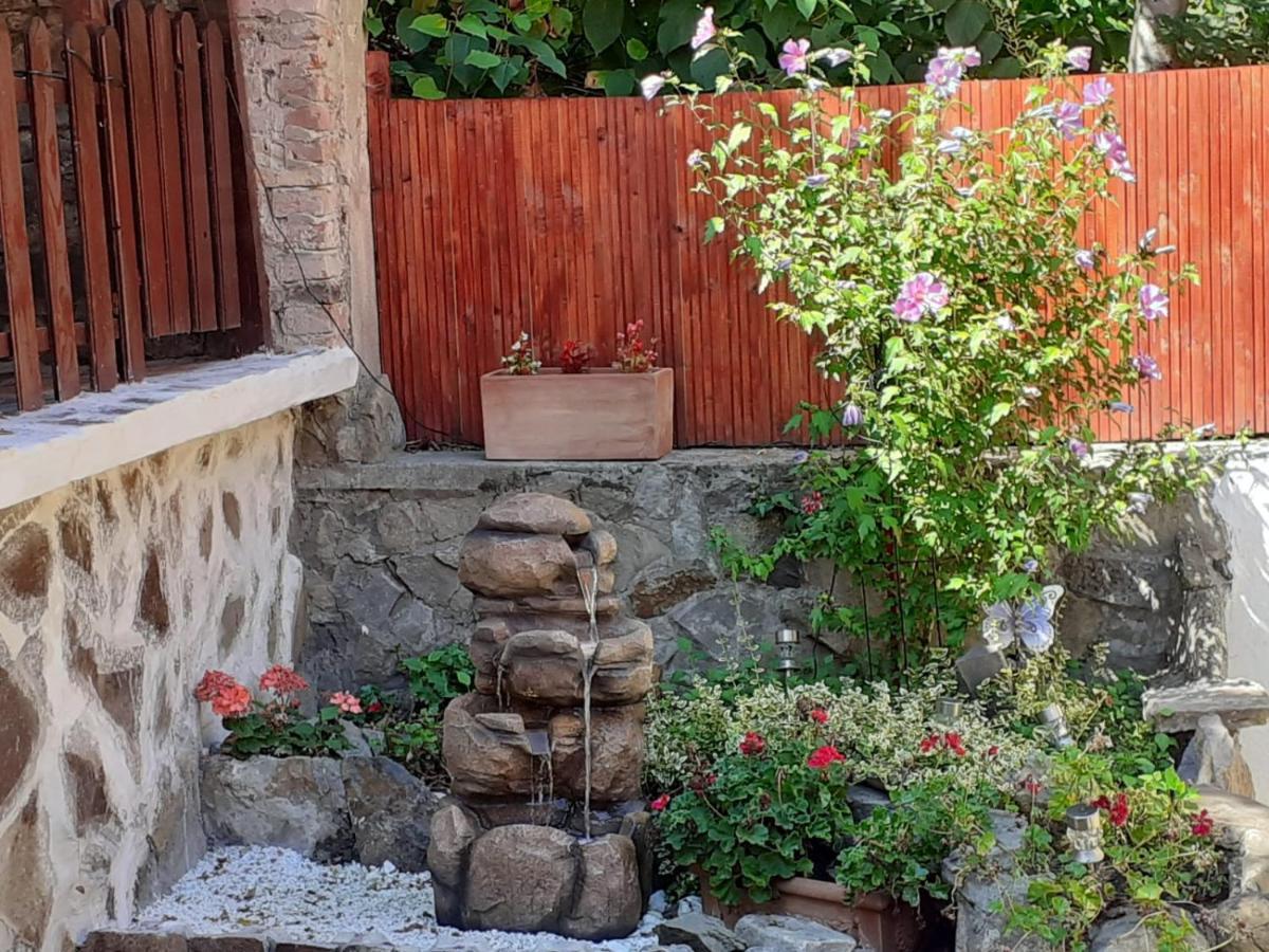 Gloria Apartments Sighisoara Bagian luar foto