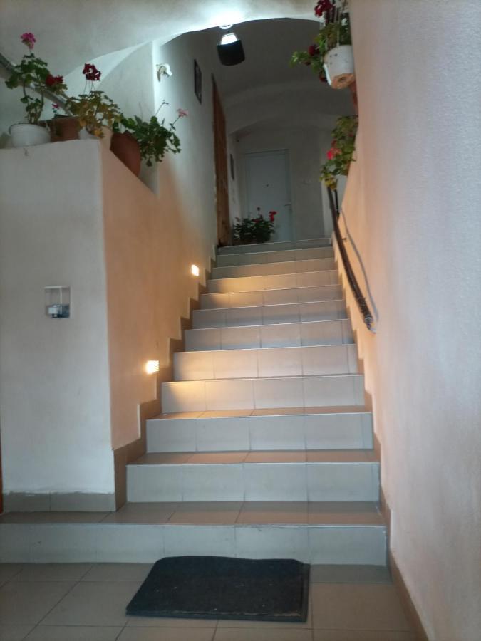 Gloria Apartments Sighisoara Bagian luar foto